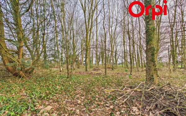 Maison à vendre    5 pièces •  Bernay