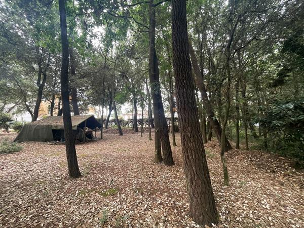 Terrain Saint Vincent Sur Jard 282m2