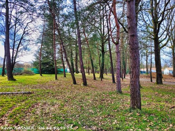 DIRAC (16410) : Terrain constructible de 1043m2 a viabiliser