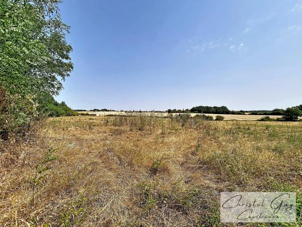 Sarthe (72), Propriété à vendre sur plus de 4 hectares, habitation et nombreuses dépendances et espaces de stockage, fort potentiel agricole, touristique ou artisanel