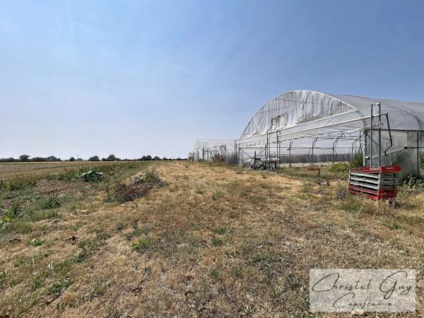 Sarthe (72), Propriété à vendre sur plus de 4 hectares, habitation et nombreuses dépendances et espaces de stockage, fort potentiel agricole, touristique ou artisanel