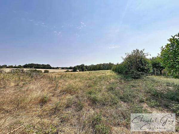 Sarthe (72), Propriété à vendre sur plus de 4 hectares, habitation et nombreuses dépendances et espaces de stockage, fort potentiel agricole, touristique ou artisanel