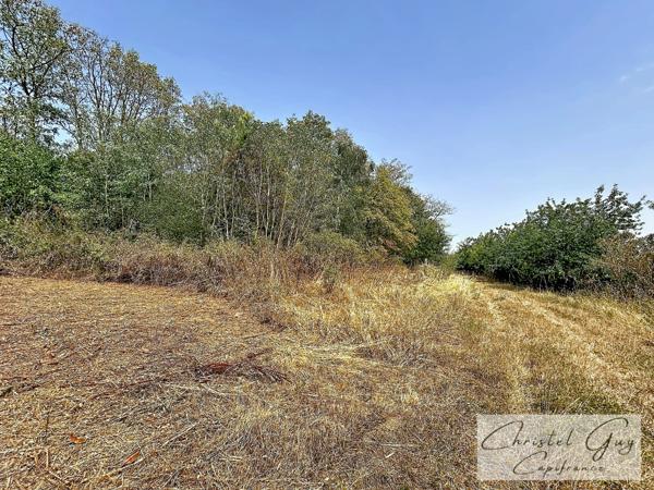 Sarthe (72), Propriété à vendre sur plus de 4 hectares, habitation et nombreuses dépendances et espaces de stockage, fort potentiel agricole, touristique ou artisanel