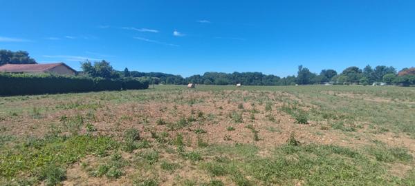 Terrain plat avec vue dégagée à Sigoulès ! Exclusivité Nestenn