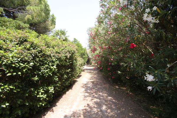 Aigues-Mortes (30220) NOUVEAU, PARC 1,1 HA, SUPERBE MAS PLEIN PIED, DE 250 M2 , PISCINE 12/6, CARRIÈRE, BOX CHEVAUX PRO