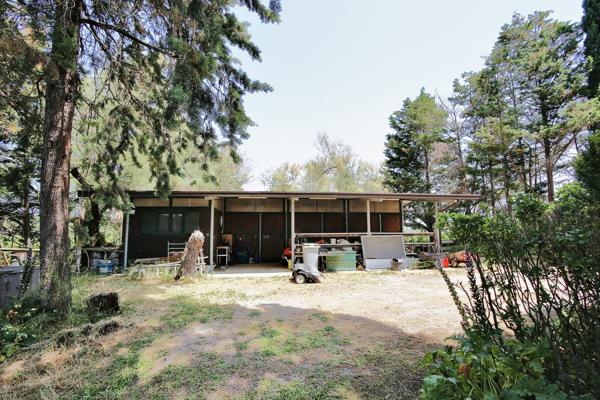 Aigues-Mortes (30220) NOUVEAU, PARC 1,1 HA, SUPERBE MAS PLEIN PIED, DE 250 M2 , PISCINE 12/6, CARRIÈRE, BOX CHEVAUX PRO