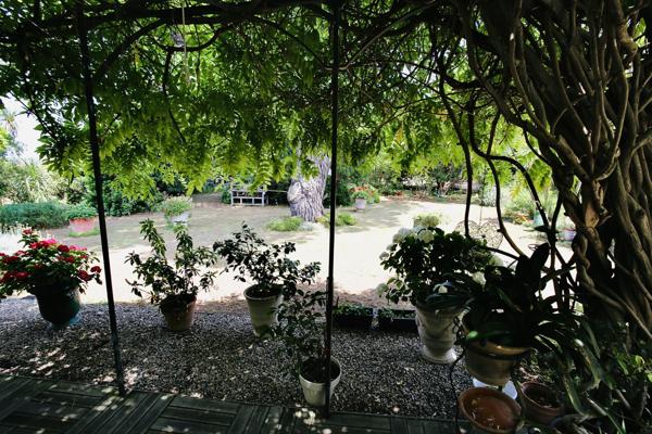 Aigues-Mortes (30220) NOUVEAU, PARC 1,1 HA, SUPERBE MAS PLEIN PIED, DE 250 M2 , PISCINE 12/6, CARRIÈRE, BOX CHEVAUX PRO