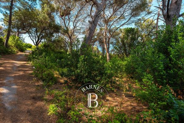 Centuri, Terrain constructible  2 484 m² à vendre