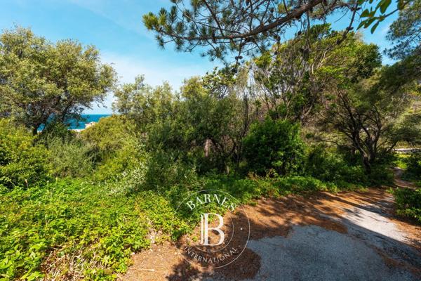 Centuri, Terrain constructible  2 484 m² à vendre