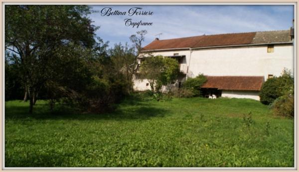 🏡 Maison en pierre rénovée avec dépendances et jardin clos
