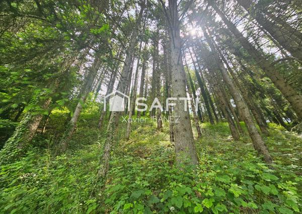 Terrain Chaudes-Aigues (15110)