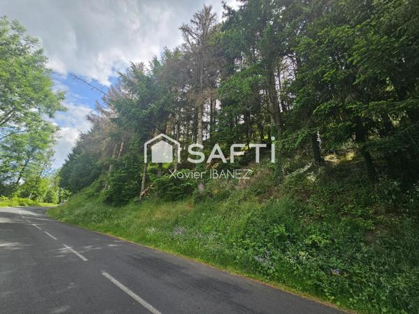 Terrain Chaudes-Aigues (15110)