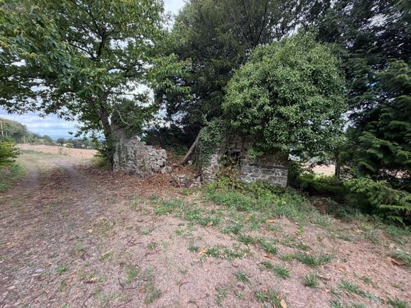 Achat - Propriété Pont-de-Buis-lès-Quimerch 29590 3 pièces 75 m 2 143380 m 2