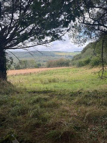Achat - Propriété Pont-de-Buis-lès-Quimerch 29590 3 pièces 75 m 2 143380 m 2