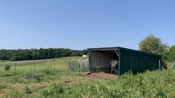 Maison à vendre |  Eygurande-et-Gardedeuil |  5 pièces | 120 m²