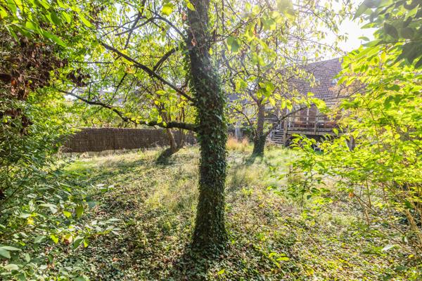 Palaiseau (91120) Quartier des Joncherettes Maison Palaiseau 5 pièce(s) 110 m2