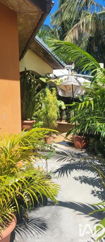 Maison à vendre 13 pièces 374 m² Saint-Pierre