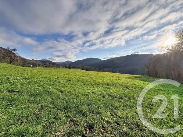 Terrain à vendre  8462 m2 MIEUSSY - 74