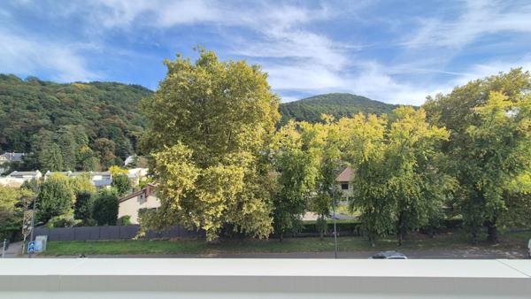 Appartement Saint Martin D Heres 2 pièce(s) 53.8 m2