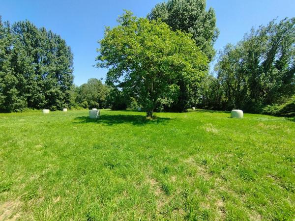 Maison longère en pierre, terrain 10 077 m2