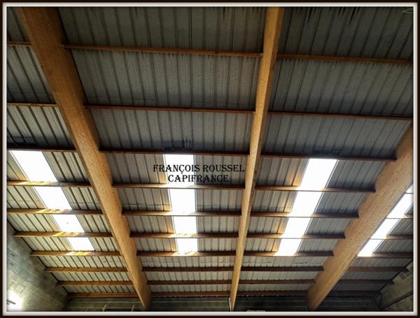 Bâtiment industriel à vendre SAINT MARTIN DES BESACES (14)