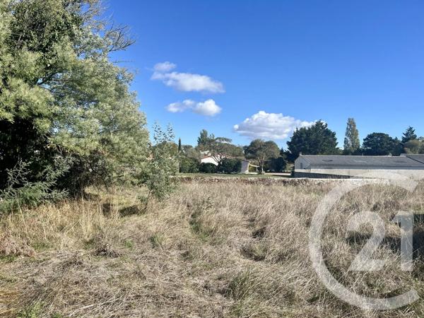 Terrain à vendre  303 m 2   ST PIERRE D OLERON  - 17