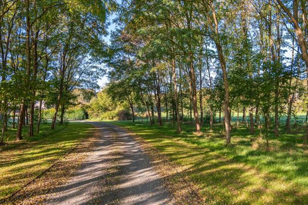 Maison à SAVIGNE-L'EVEQUE, 72460 - 6 pièces 224m²
