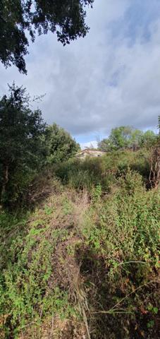 Dpt Corse (20), à vendre PETRETO BICCHISANO terrain