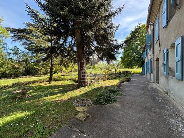 Maison de Maitre Albi 155 m2