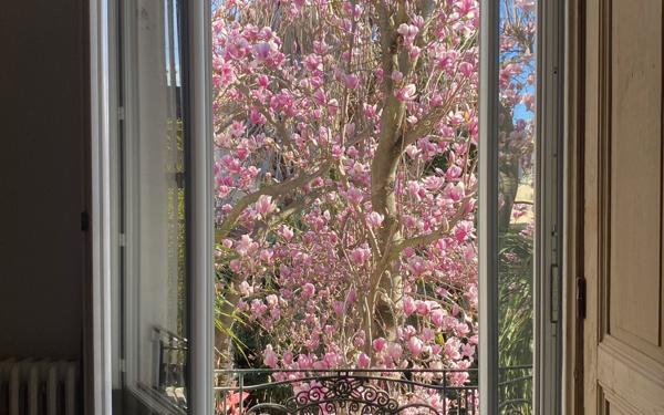 Maison à vendre    4 pièces •  Avignon