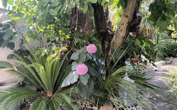 Maison à vendre    4 pièces •  Avignon