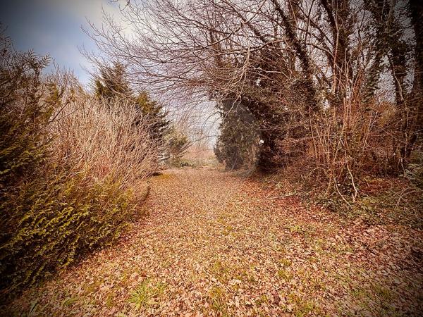 Maison  en vente - Nièvre - 58