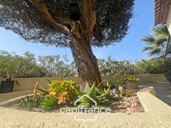 Maison à vendre 6 pièces LE LAVANDOU (83), 4 chambres, vue dégagée et de nombreuses terrasses.