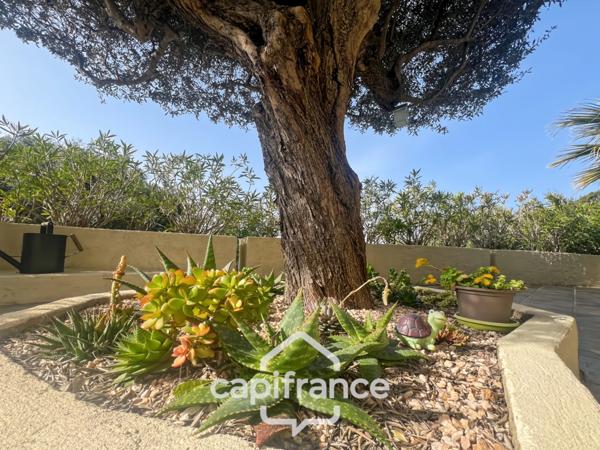 Maison à vendre 6 pièces LE LAVANDOU (83), 4 chambres, vue dégagée et de nombreuses terrasses.