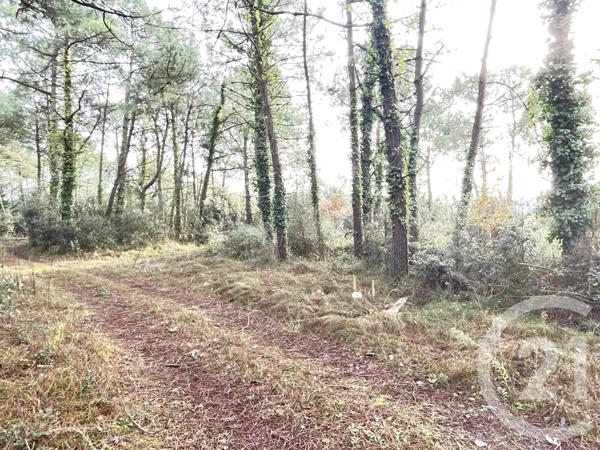 Terrain à vendre  620 m2 ST JEAN DE MONTS - 85