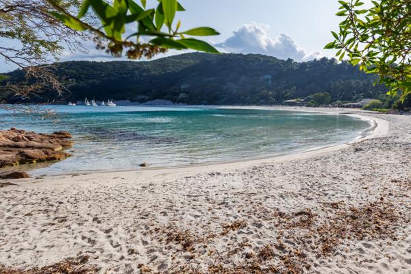 Maison à vendre  10 pièces - 200 m2 SARI SOLENZARA - 201