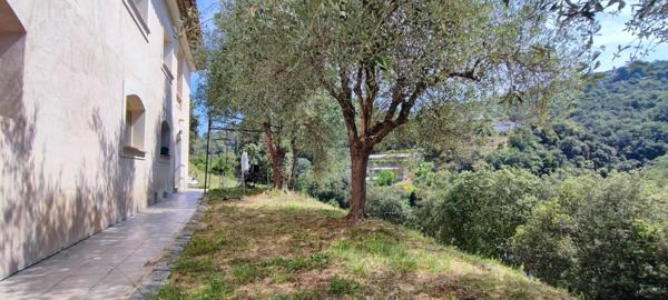 Vente Propriété 8 pièces 260 m2 à Nice