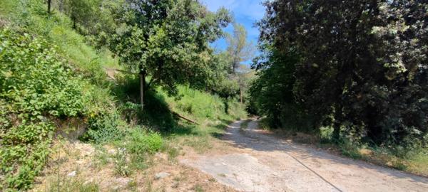 Vente Propriété 8 pièces 260 m2 à Nice