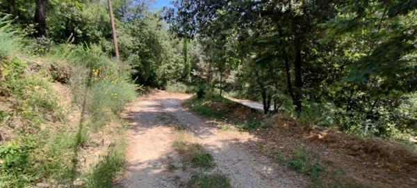 Vente Propriété 8 pièces 260 m2 à Nice