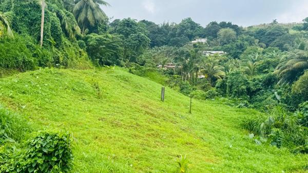 Terrain à vendre d'environ 765,00 m² SAINTE MARIE (972)