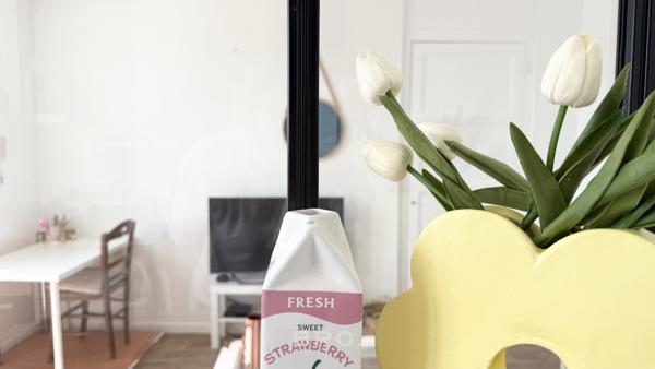FRAMBOISE – APPARTEMENT T2 VENDU LOUÉ AU CŒUR DE SAINT-PATERN