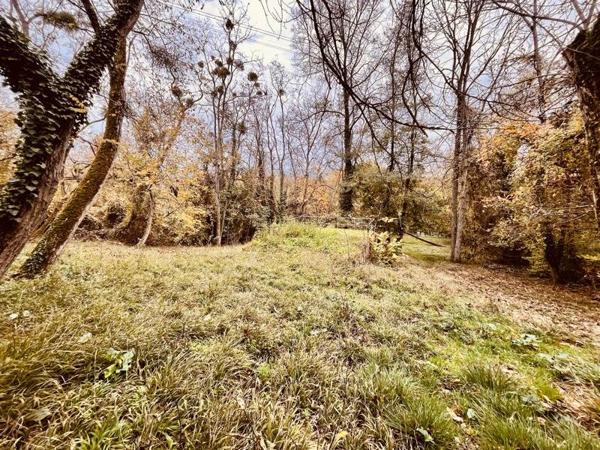 Terrain à vendre |  Le Coudray-Macouard |  1050 m²