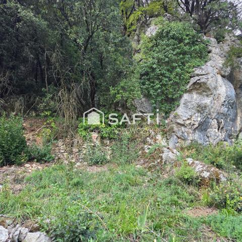 jardins paisibles et pittoresques