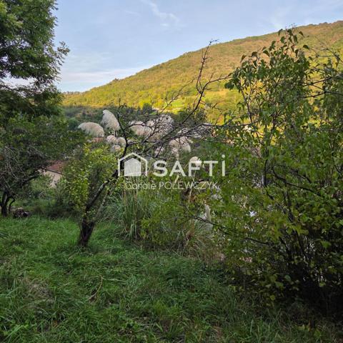 jardins paisibles et pittoresques