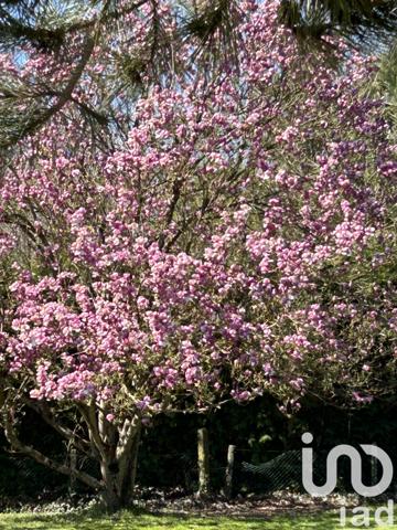 Maison à vendre 6 pièces 200 m² Bourneville-Sainte-Croix