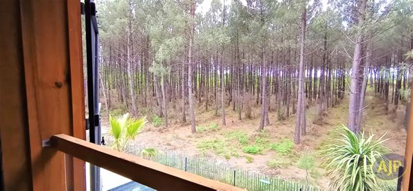 Vente appartement Lege Cap Ferret : 435 000 € - AJP Immobilier Lège-Cap-Ferret