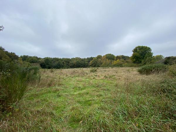 Terrain à vendre à Séné proche mer secteur Port Anna non constructible