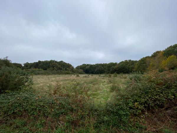 Terrain à vendre à Séné proche mer secteur Port Anna non constructible