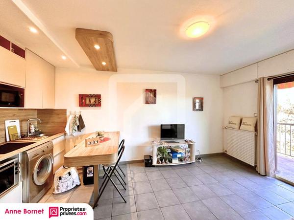 Studio 24 m2, terrasse, parc de 4 hectares, parkings