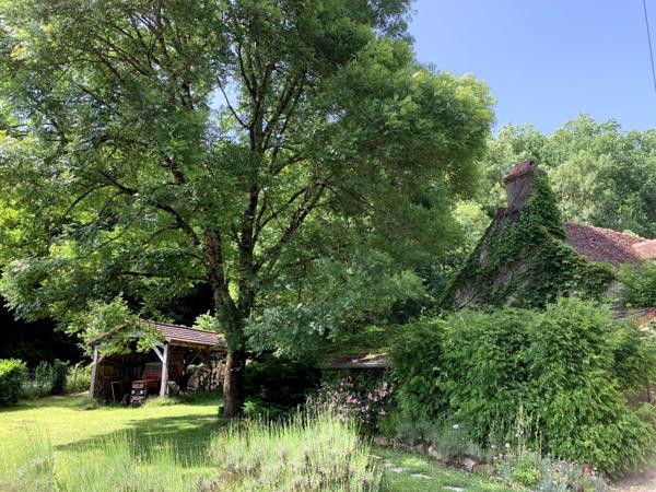 La ferme Bressane et son ancien moulin